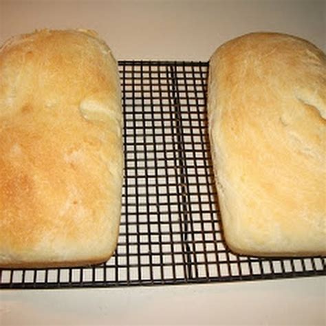 Bread Starter Recipe With Yeast Foodrecipestory