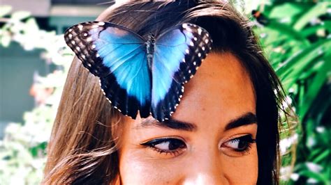 Best Ideas For Coloring Butterfly On Face