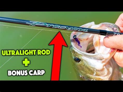 Fishing With The Daiwa Procyon Ultralight Rod Youtube