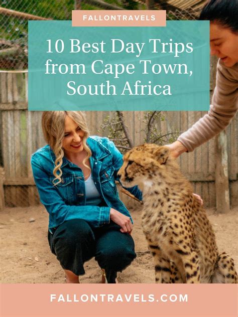 10 Best Day Trips From Cape Town South Africa Artofit
