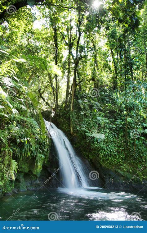 Crayfish Waterfall Or La Cascade Aux Ecrevisses Guadeloupe National