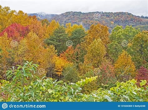 A Scenic View Of The Great Smoky Mountains In Fall Colors
