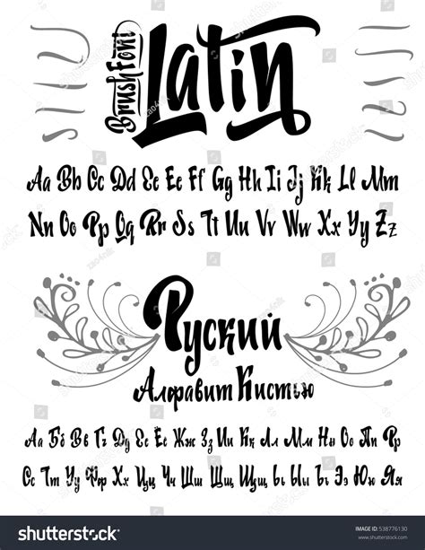 Vector Alphabet Cyrillic Latin Calligraphic Font Stock Vector Royalty