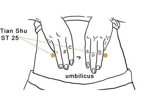 ST Acupressure Point Tianshu Location Benefit Perfect Magazine