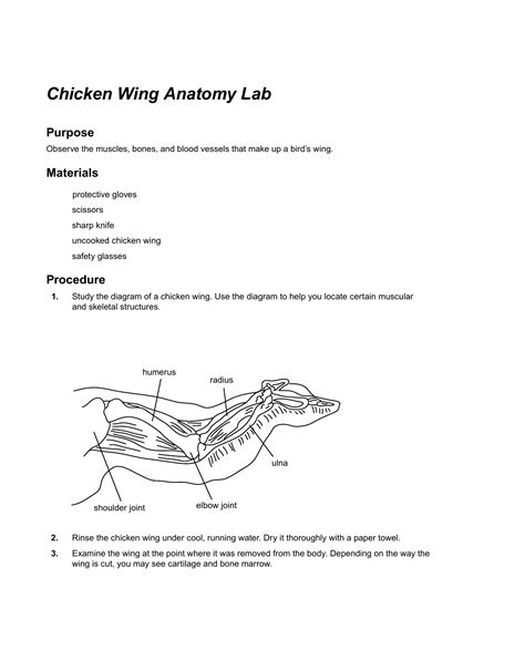 Anatomy Of A Chicken Wing Slidesharedocs
