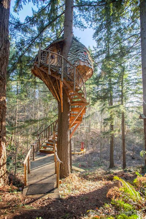 Beehive Treehouse — Nelson Treehouse