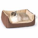 Images of Cat Beds Novelty