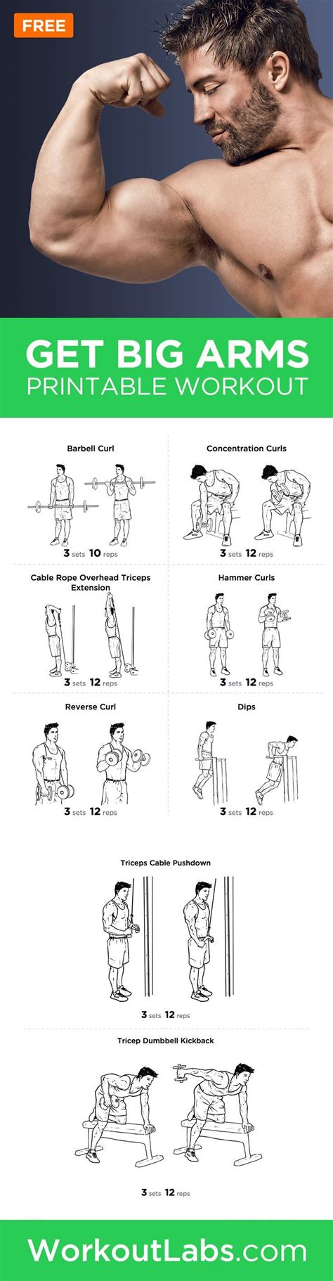 Big Arms Workout Biceps And Triceps Exercises Printable Routine