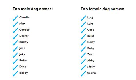 Top Male And Female Dog Names List Release The Hounds