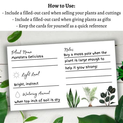 Plant Care Card Blank Card Printable Digital Download Etsy Blank