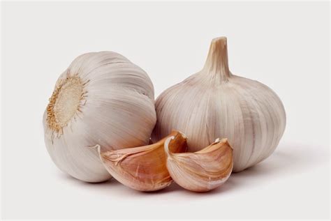 Ini berkat peran sejumlah komponen mikro nutrisi yang tersimpan dalam bawang putih. Khasiat Bawang Putih dalam Garlic Complex Shaklee!!.. Ubat ...