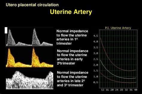 Uterine Artery Doppler Normal Values