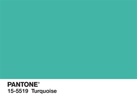 Pantone Color Of The Year For 2010 Pantone 15 5519