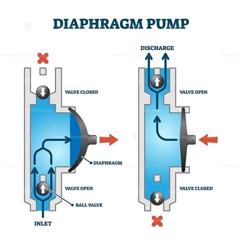 Diaphragm Or Membrane Pump Working Process Diagram Example Drawing