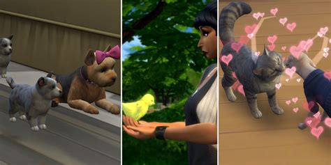 The Sims 4 Animal Breeding Guide