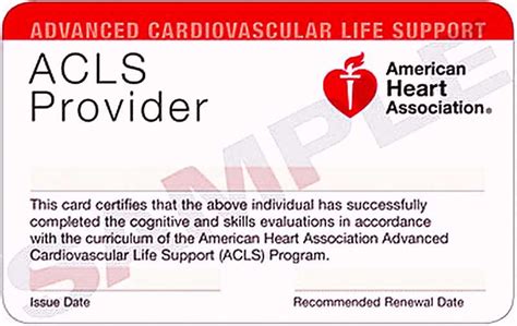 The Ultimate Guide To American Heart Association Cpr Test Answer Sheet