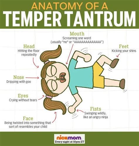 Anatomy Of A Temper Tantrum With Images Funny Quotes