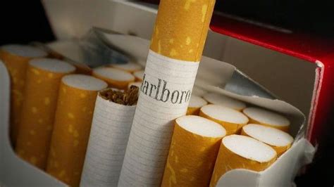 cigarette cos gain ground despite duty hike itc surges 9 pc oneindia news