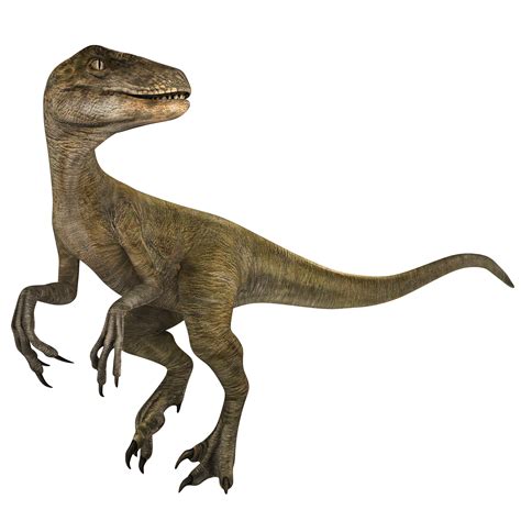 Velociraptor Github