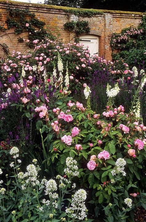 Mottisfont Abbey Rose Gardens Hampshire England A Spectacular