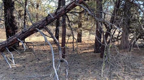 Build your Dream Home in Klamath Falls on 2.43 Acres with POWER Nearby