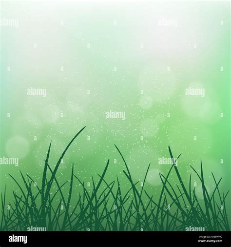 Nature Grass On Blur Green Bokeh Background Natural Blurred Spring Or