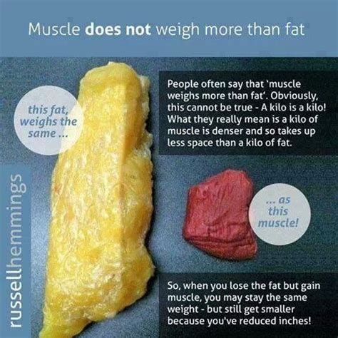 Muscle does not weigh more than fat! | Workout Routines and Exercise