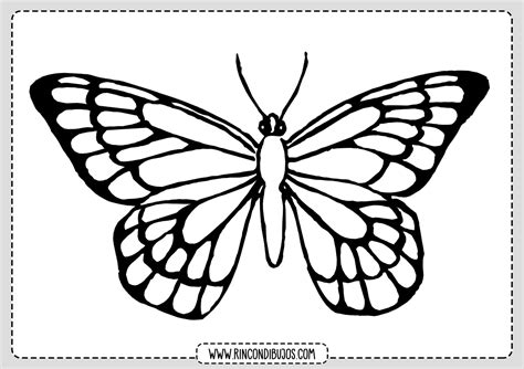 Dibujos De Mariposas Para Colorear Rincon Dibujos