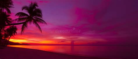 Tropical Sunset Stock Photo Image Of Orange Sand Scenery 86228192