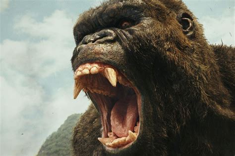 King kong movie reviews & metacritic score: King Kong is a chest-beating reminder that visual effects ...