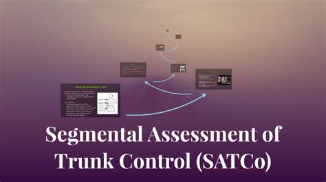 Segmental Assessment Of Trunk Control Satco By Stephanie Schoen On Prezi