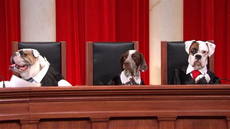 We Remixed John Olivers All Dog Supreme Court Footage With Actual