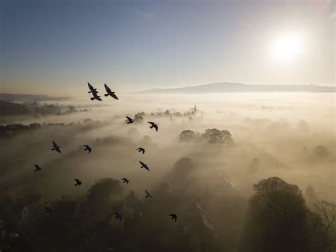 British Wildlife Photography Awards Hidden Britain Winner By Alan Smith