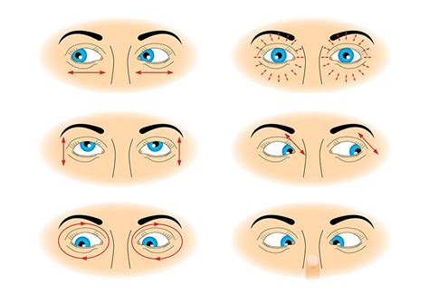 10 Exercises For Your Eyes 1blink For A Minute 2rotate Your Head