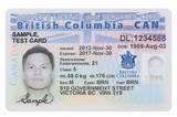 Pictures of Pr Medical License Verification