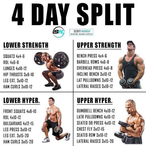 Day Split Workout Your Way To Massive Gains Shredded Lifestyle