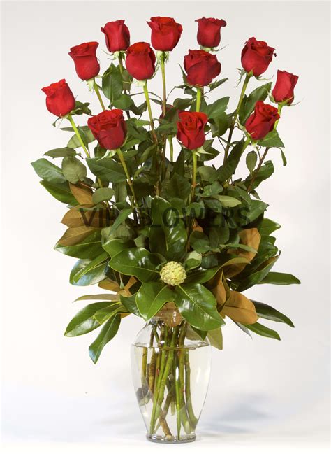 1 Dozen Extra Long Stem Red Roses In Portland Or Vip Flowers