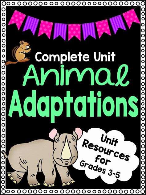 Animal Adaptations For Kids Pin On Biology And Life Science Lessons