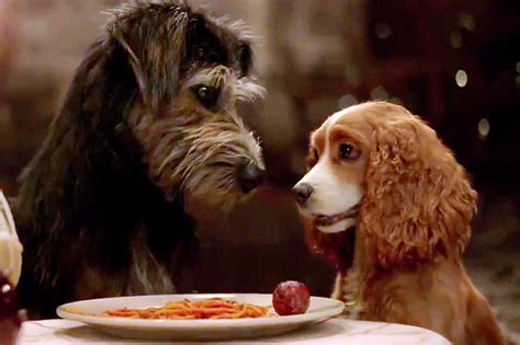 First Live Action Lady And The Tramp Trailer Released By Disney