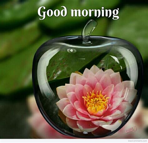 Discover thousands of pictures and messages about good morning whatsapp. Good Morning Pictures, Images, Graphics for Facebook ...