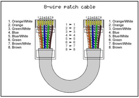 In each pair the striped wire precedes the colored wire. Cat 5 Cable End Diagram, Cat, Free Engine Image For User Manual Download | schematic and wiring ...