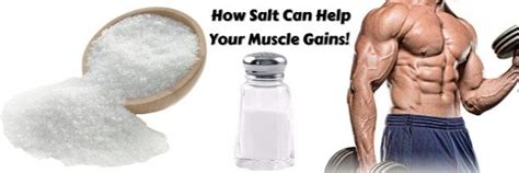 Sodium has been vilified over the last fifty years or so. How Much Salt Should You Have Per Day? — Lee Hayward's ...