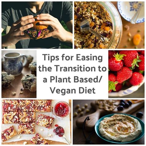 11 Tips For Easing The Transition To A Plant Basedvegan Diet Plant