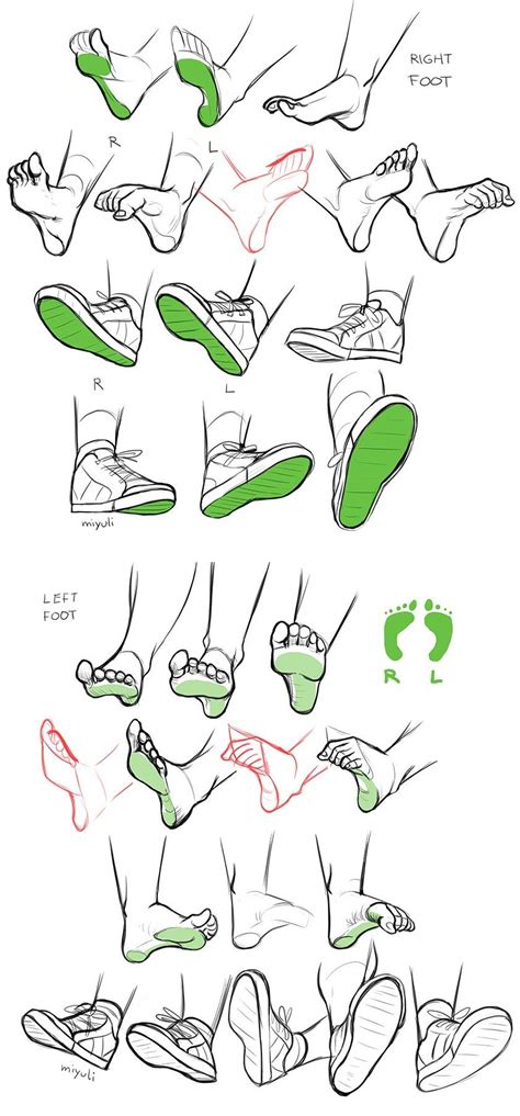 Foot Anatomy Study By Twitter User Miyuli Heres The Link To The