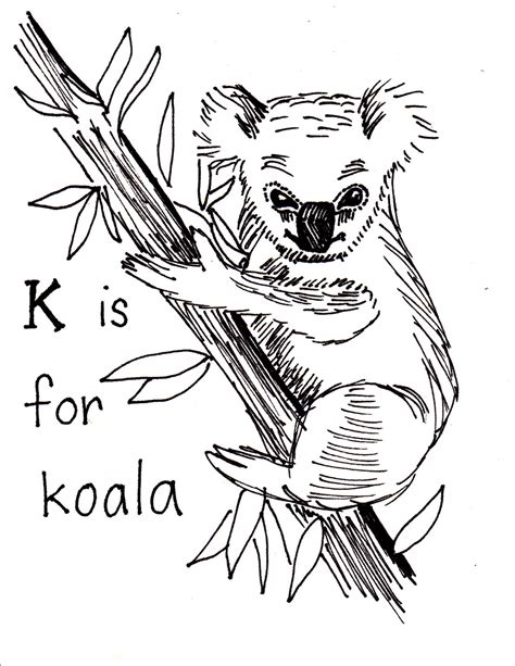 New Koala Coloring Pages For Kids For Kids Coloring Pages Free