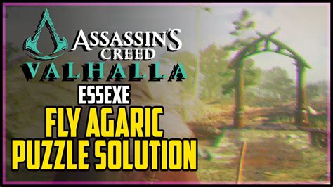 Essexe Fly Agaric Mystery Solution Assassin S Creed Valhalla YouTube