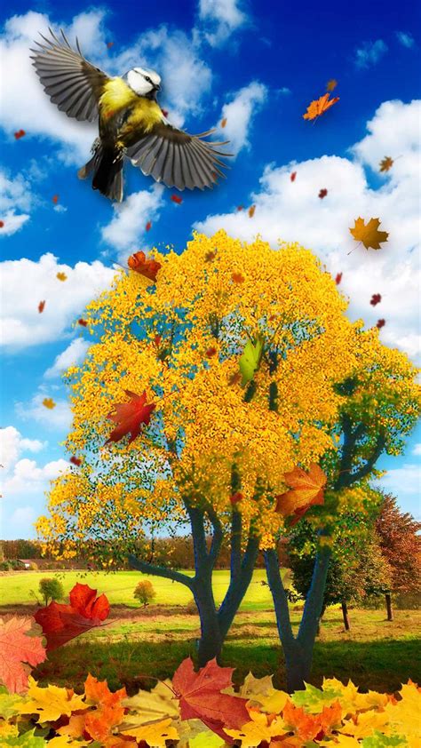 Picturesque Nature Live Wallpaper For Android Apk Download