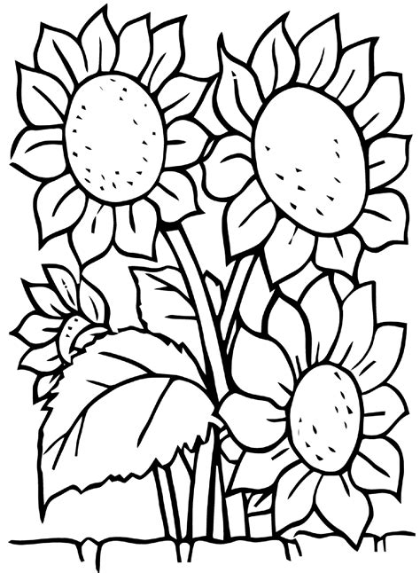 34 Best Ideas For Coloring Coloring Pages Summer Flowers