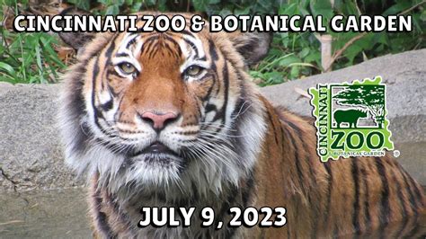 Cincinnati Zoo And Botanical Garden July 9 2023 Youtube