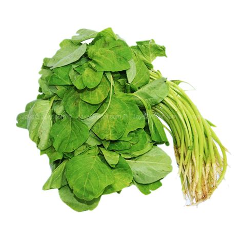 Baby Spinach Local Sold By Kg — Horeca Suppliers Supplybunny